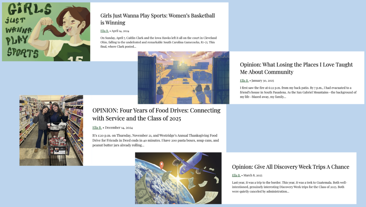 Screenshots of some of the headlines of op-eds I've written in the past two years. 